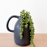 Ceramic Vase w/ Handle
