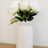 Large White English Rose