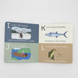 The ABC's of Fishing