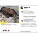 Critters of Minnesota