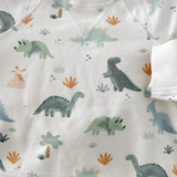 Sweatshirt & Jogger Set-Dinos