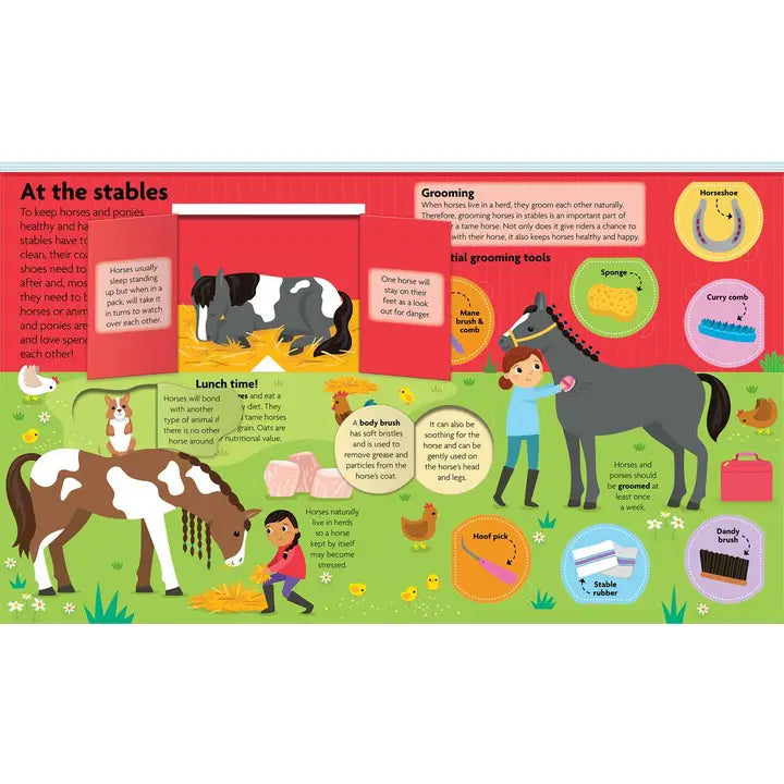 All About Horses & Ponies: Lift the Flap Book