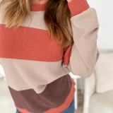 Taupe/Mauve/Brown Color Block Top