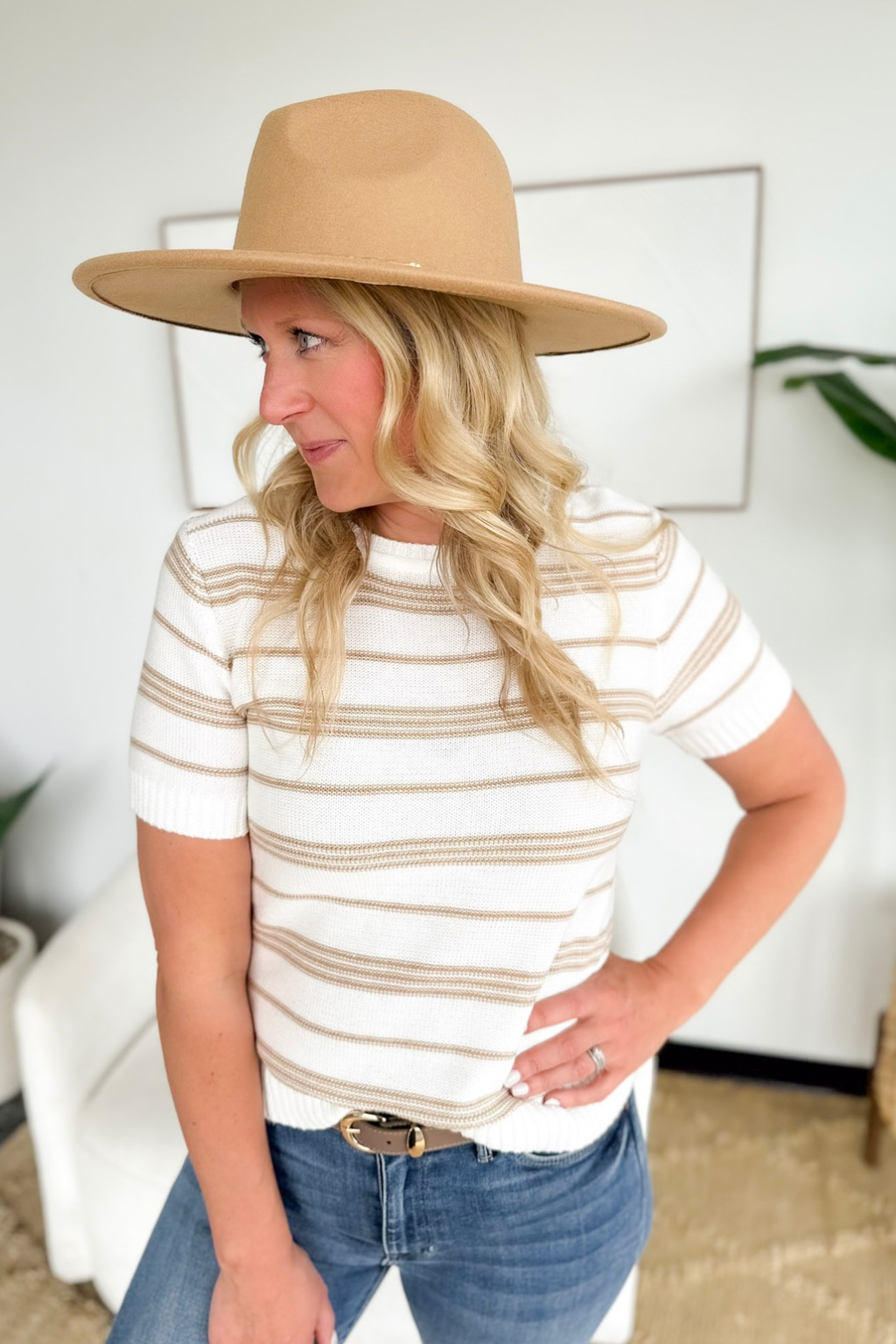Ivory/Taupe Stripe Short Sleeve Knit Top