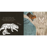 Shine A Light: Secrets of Animals Camouflage