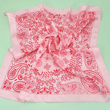 Pink Paisley Silky Scarf