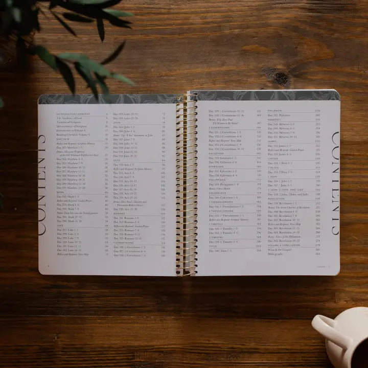 A Year in the Bible
