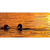 Our Love Of Loons Book