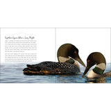 Our Love Of Loons Book