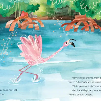 Fussy Flamingo Book