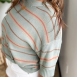 Sage Oversized Striped Short Sleeve Top