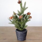 Potted Pine Tree with Snow