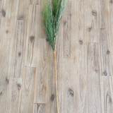 36" Native Cedar Stem