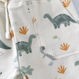 Sweatshirt & Jogger Set-Dinos