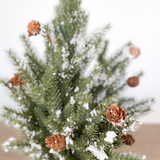 Potted Pine Tree with Snow