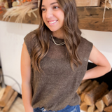 Ash Brown Sleeveless Knit Sweater Top