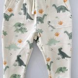 Sweatshirt & Jogger Set-Dinos