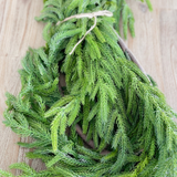 Fir Pine Garland