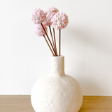 Gourd Vase Natural