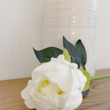 Large White English Rose