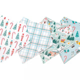 Set of 4 Bandana Bibs