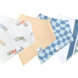 Set of 4 Bandana Bibs