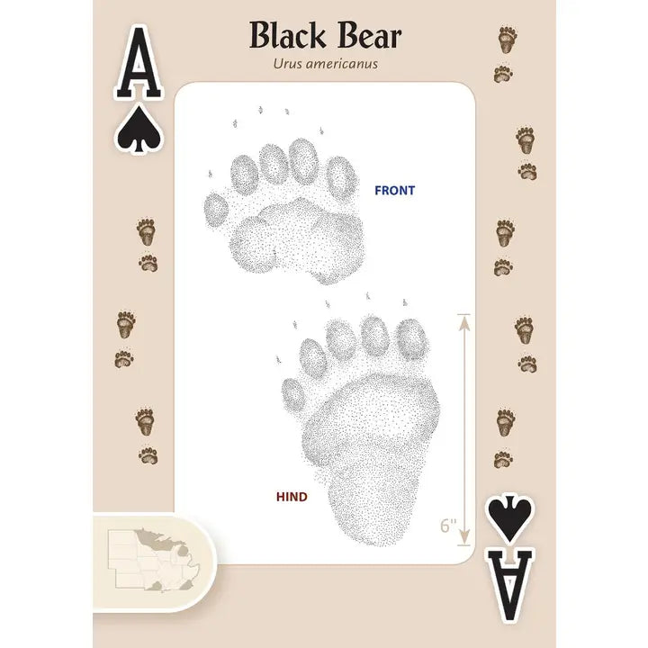 Playing Cards