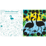 Scratch Activities Book