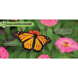 Can You Count the Critters Book