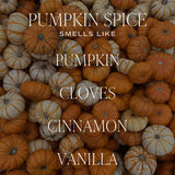 Pumpkin Spice 12oz Candle