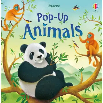 Pop-Up Usborne Books