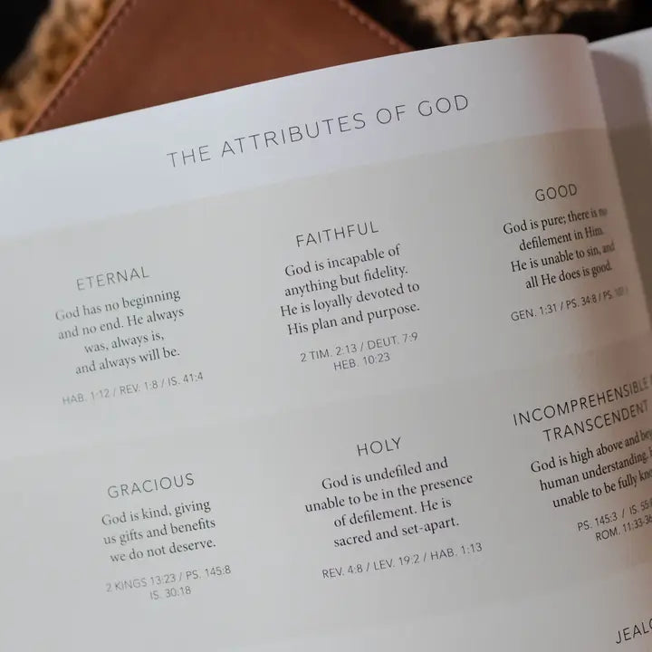 Esther | Seeing God When He is Silent