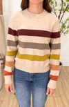 Macy Multi Striped Sweater